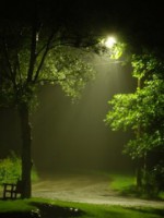 /album/priroda/after-rain-jpg/