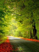/album/priroda/best-nature-jpg/