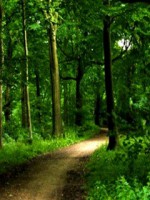 /album/priroda/cool-nature-jpg2/