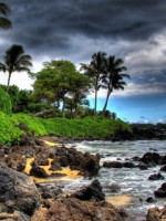 /album/priroda/seashore-jpg/