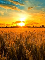 /album/priroda/sunset-jpg1/