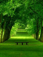 /album/priroda/waiting-bench-jpg/